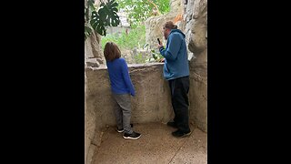 Our day at the zoo!