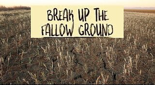 BREAK UP THE FALLOW GROUND #542