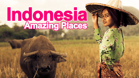 Amazing Things To Do in Indonesia | Top 10 Best Things To Do in Indonesia - Travel Guide