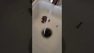 Broken garbage disposal with flying nuts and bolts