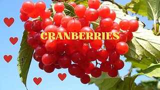 Cranberries