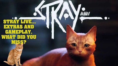 LIVE!!! STRAY - EXTRAS - EASTER EGGS - WHAT DID YOU MISS?