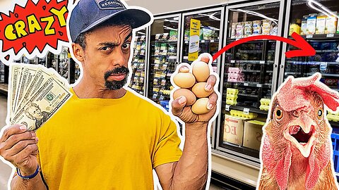 SCAM?! Why EGG PRICES are SO Expensive | What I'm doing about it