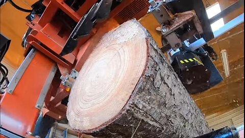 Take A Look Inside Of This Log, Way Too Nice For Barn Lumber