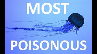 Minute Science: Most Poisonous Animals