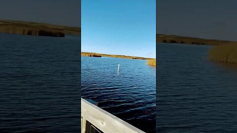 Walking on a Bridge over Water #walking #walk