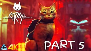 Let's Play! Stray in 4K Part 5 (PS5)