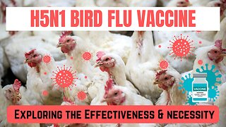 Preparing for Pandemic: The Role of Stockpiled Vaccines in Bird Flu Outbreaks
