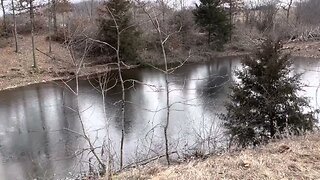 Removing cut trees around pond with tractor grapples.