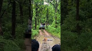 Tiger watching in Pench National ParkIndia