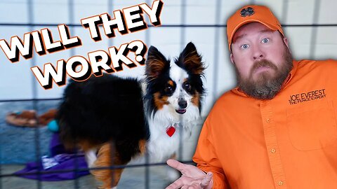 Will OUR CUSTOM Dog Kennels WORK?