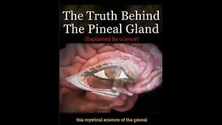 THE TRUTH BEHIND THE PINEAL GLAND - THE 3rd EYE EXPLAINED BY SCIENCE