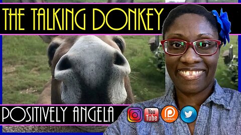 THE TALKING DONKEY | POSITIVELY ANGELA