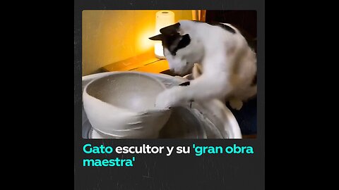 Gato da rienda suelta a su talento con el modelado de barro