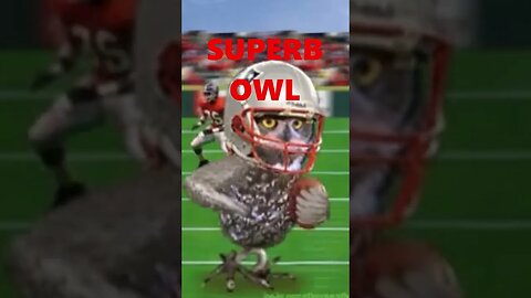 Superb owl #superbowl #superb #memes #funny #shorts