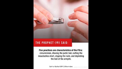 Sunnah of Prophet Muhammad S.A.W