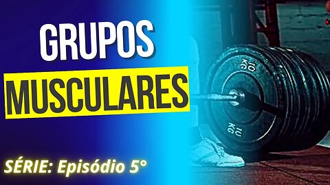 #005 PENSAR EM GRUPOS MUSCULARES | Série: Erros Comuns no Treinamento de Força.