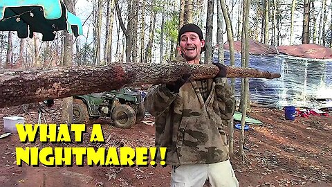 Massive Camp Cleanup/ Raccoon invasion, Shelters are SCREWED!!