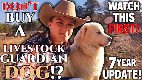 DON'T BUY A Livestock GUARDIAN Dog!?🐶8 THINGS I WISH I KNEW Before BUYING ONE!