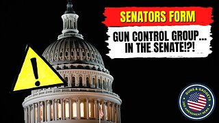 Senators From Gun Control Group...IN THE SENATE! Wait Until You See What They Have Planned!