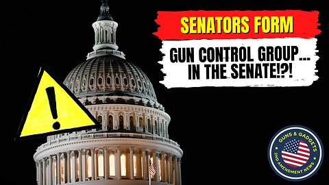 Senators From Gun Control Group...IN THE SENATE! Wait Until You See What They Have Planned!