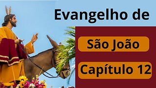 [Evangelho de São João - CAP 12]