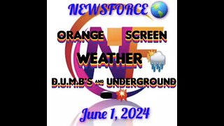 Newsforce Report 🌎 June 1, 2024 DUMB's & Underground 🕳 💥