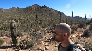 Saguaro National Park Short Hike