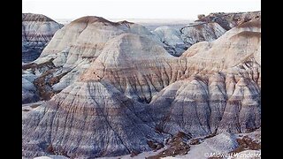 Tour National Park Petrified Forest