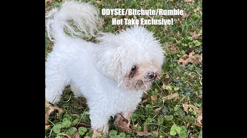 Rumble/Odysee/Bitchute Exclusive Hot Take: Feb 9th 2023 News Blast!