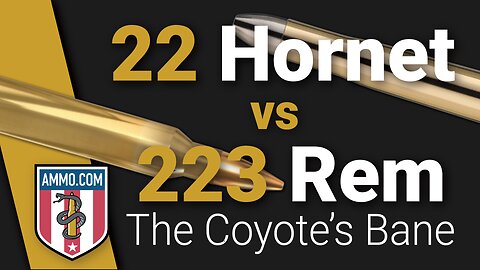 22 Hornet vs 223: Coyotes Beware!