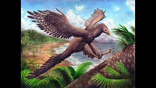 Dinosaur-Bird Seen on Ontario First Nations Reservation