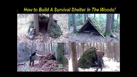 Survival Lilly: How to Build A Survival Shelter In The Woods! [Aug 20, 2016]