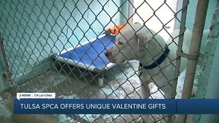 Tulsa SPCA special donations