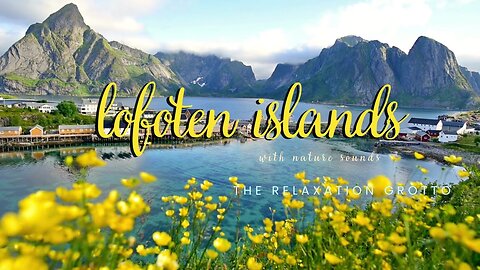Lofoten Islands, Norway | Looking From a Field of Flowers | Nature Sounds, Mountain View, Water View