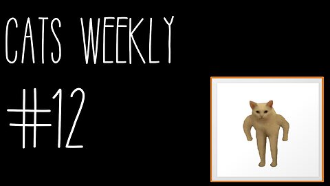 Cats Weekly (#12) – It's 3AM Somewhere