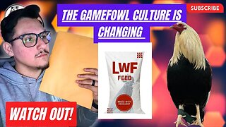 TOO Legit To Quit - Gamefowl Culture is Changing !