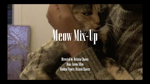 Meow Mix-Up