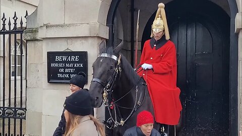 (GET OFF THE REINS) watch him run The guard shouts 😆 🤣 😂 #horseguardsparade