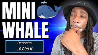 Drip Token Update Mini Whale Status 🐳