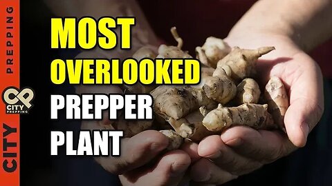 The Many Uses of The Ultimate Survival Vegetable