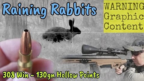 Raining Rabbits - Pest Control & ATV Hunting - Thermal Shooting with a 308 Win