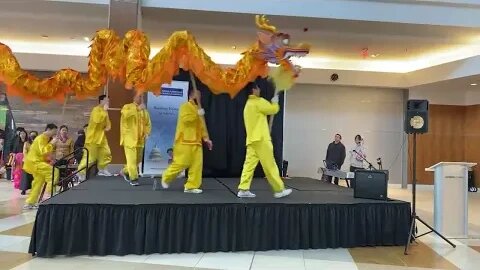 Lunar New Year Celebrations the year of the Cat at Springfield Mall Virginia