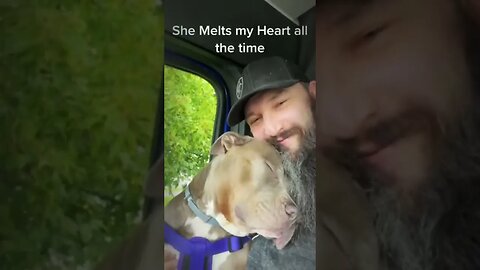 Adorable pup shows love to owner with cuddles