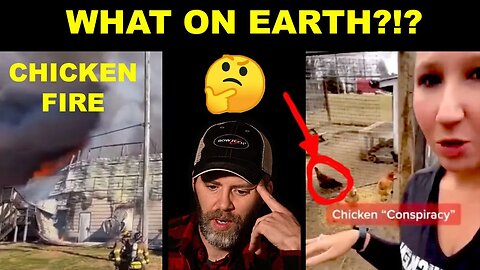 Eggs, feed, & fires!! What is REALLY going on? Let's look at the videos.