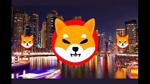 Shiba Inu Coin | SHIB Whales Eat The Dip! Dogeverse Major Website Update!