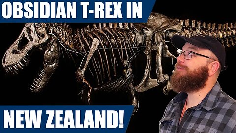 Rare obsidian Tyrannosaurus rex skeleton at Auckland Museum and comparison to a Moa