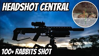 Headshot Central with my FX Impact M3 .22 Calibre PCP Air Rifle || Rabbit Hunting & Shooting
