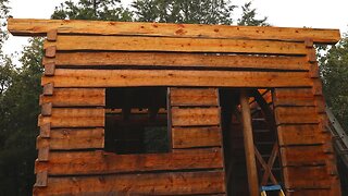 Top Plates, Dovetail Log Cabin Build (Ep 35)