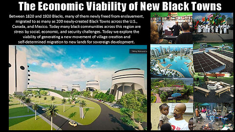 The Economic Viability of the New Black Towns